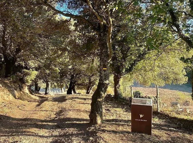 ベッド・アンド・ブレックファスト Casa Di Mela