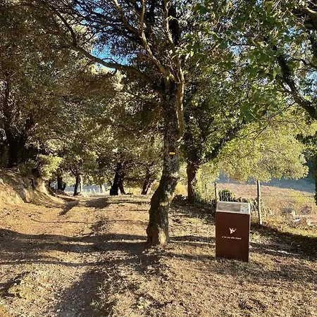 Frühstückspension Casa Di Mela